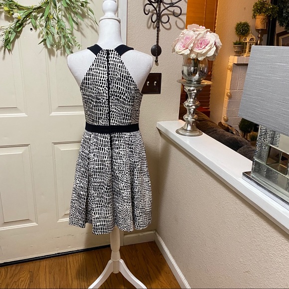 Zola' Print Cotton Fit & Flare Dress By TRINA TURK - Picture 9 of 16